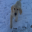 Buddy