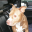 marydogthreepaws