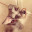 scrappinmommy77