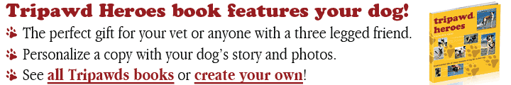 Personalize Tripawd Heroes Three Legged Dog Books Personalize Tripawd Heroes Three Legged Dog Books