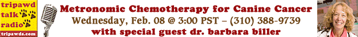 CSU Clinical Veterinary Oncologist Dr Biller Tripawds Radio Interview