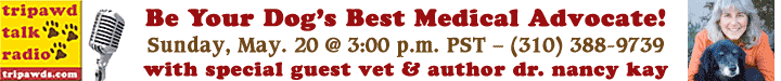 Tripawd Talk Radio Interview with Speaking for Spot Author Dr. Nancy Kay