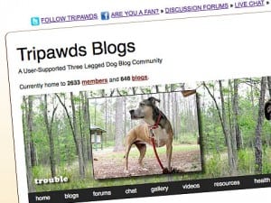 Tripawds Site Statistics July 2011