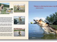 Tripawd Heroes Book Sample Tripawd Heroes Book Sample