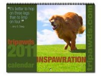 2011 Tripawds Inspawrational Calendar 2011 Tripawds Inspawrational Calendar
