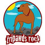 Tripawds Rock Tripawds Rock