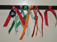 Tribute Leash Example 1