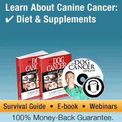 Leatn More About Canine Cancer