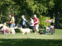 MG_4723-300x200 MG_4723-300x200