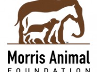 Morris Animal Foundation Logo