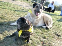 20091205w_tripawty16