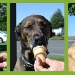 Wordless Wednesday_OP
