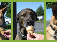 Wordless Wednesday_OP