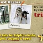 fbcover_triheroes
