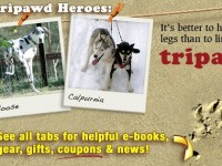 fbcover_triheroes
