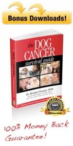 DogCancerSurvivalGuide