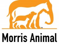 Morris Animal Foundation