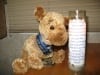 Prayer Candle for Cancer Dogs