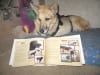 Jerry admires the Lalla page in his custom Tripawds book