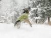 Three Legged GSD Puppy Wyatt Leaps In The Snow