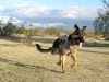 Wyatt Runs at Gopher Flats