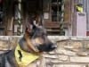 Wyatt and Hondo at Luckenbach Texas