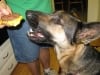 Wyatt Third Birthday Flying Dutchman Treat
