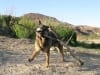 Wyatt at Big Bend Ranch Texas State Park