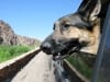 Wyatt at Big Bend Ranch Texas State Park