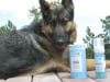 20120506w_freshdog03