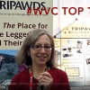 Pet Amputation Recovery and Care Tips from Vets at #WVC2017 pet amputation tips