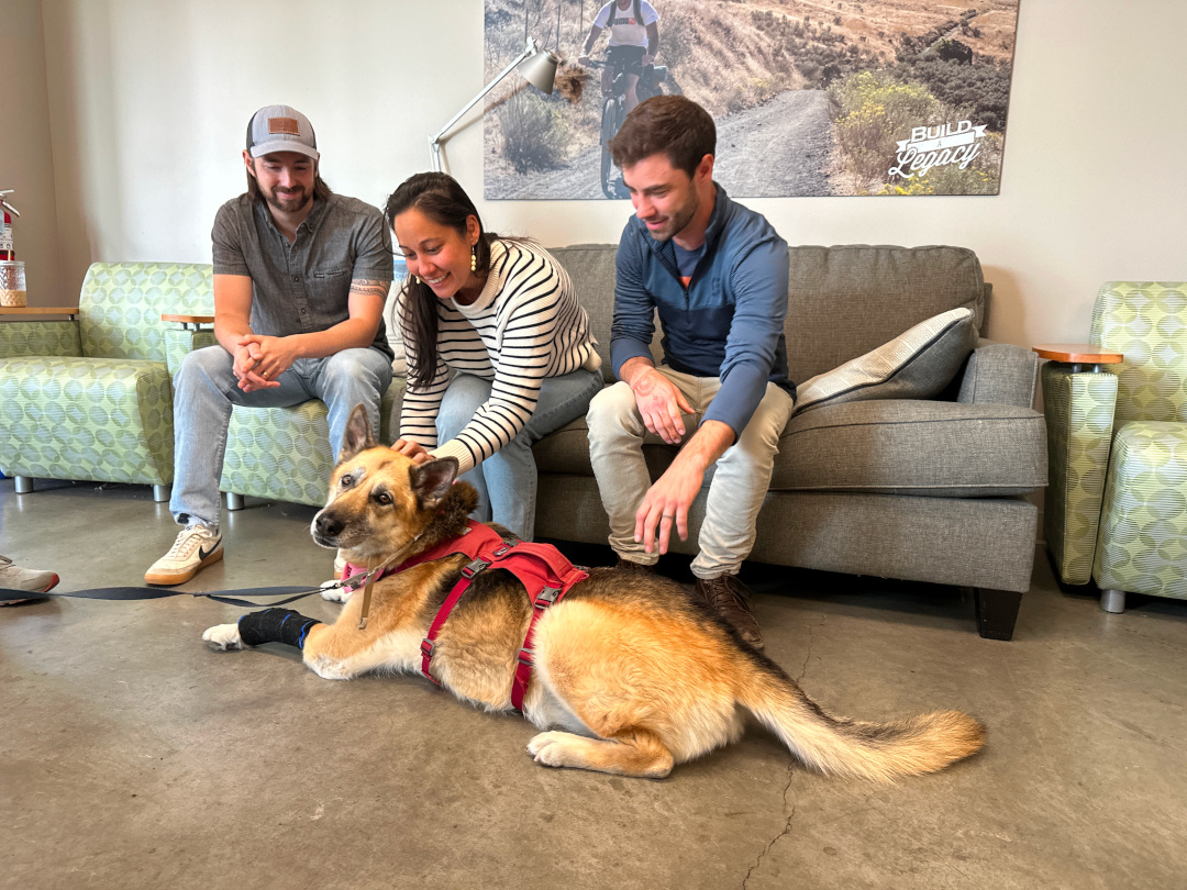 Nellie meets the Burley team who designed her ride!