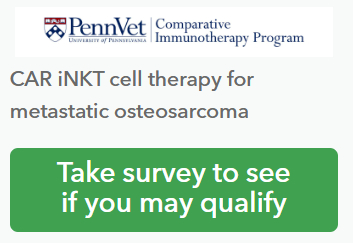 CAR-iNKT Clinical Trial for Dogs with Osteosarcoma Lung Mets