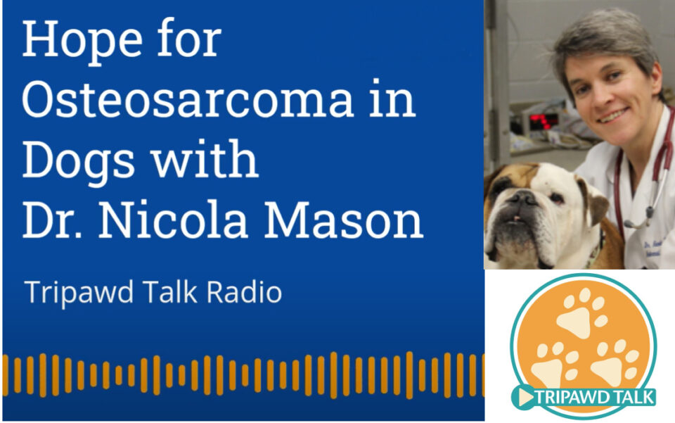 Tripawd Talk Podcast #130 with Dr. Nicola Mason
