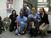 Friends and Family VCA L.A. Oncology Vet Dept. Staff