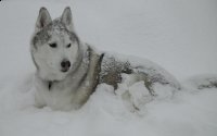 Misc 2011 061311_indypic3