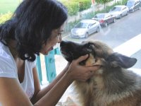 Friends and Family Roop says goodbye to Dodger in Singapore