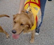 Mission for Hope pic19