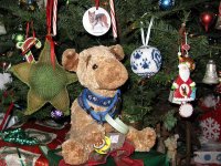 Jerry Christmas to All!