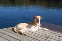 Osteosarcoma survivor Lily