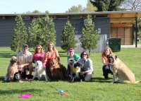 Tripawd Parties Pacific Northwest Tripawds Pawty