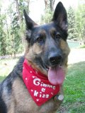 Wyatt Gallery 1 - August 2009 Wyatt wears bandanna fron Lylee