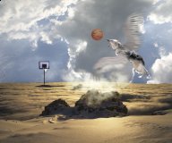 Special Events Angel Jerry plays hoops with Lalla in doggy heaven