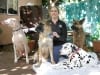 Leslie McMahon 2 Hands 4 Paws Dog Massage Rehab