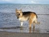 At the Lake Ontario shore in Toronto, Canada