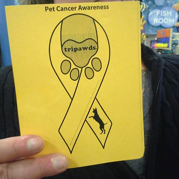 Pet Cancer Awareness Month Ribbon
