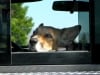 On the road again with Jerry