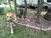 Checking out the seasonal campers at Lake Arrowhead, WI