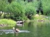 Swimming at Hogan Lake