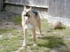 I liked that big yard!